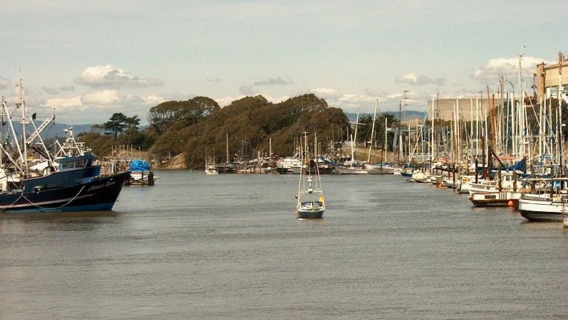 Boats moored in Moss Landing harbor